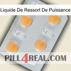 Power Spring Liquid 24